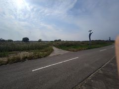 -盐城丹顶鹤湿地生态旅游区