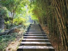 -白沙古井