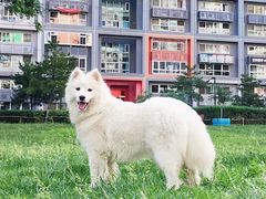 -北京佳信宠物医院