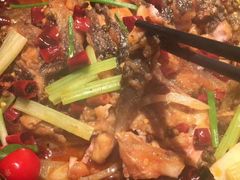 -老板恋上鱼(高新万达店)