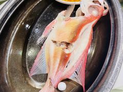 -抱德·潮汕味(敦和店原惠城鱼仔)