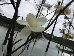 -东莞植物园