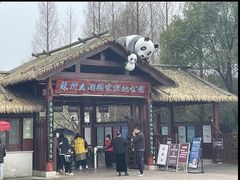-苏州太湖国家湿地公园