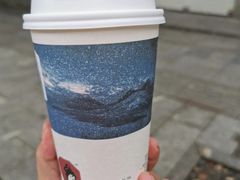 罐装茶-茶颜悦色(登高路上店)