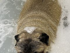 -FAELING PETS美天灵宠物(富力广场店)