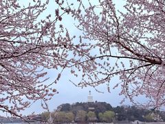 -南关北海公园