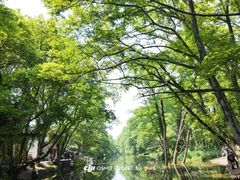 -西溪南古村落