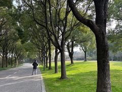 -贡湖湾湿地公园