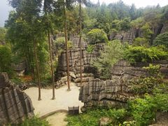 -梭布垭石林景区