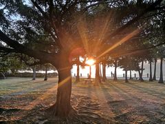 -深圳湾公园(南山区)