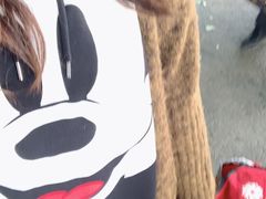 -江杨农产品批发市场