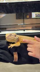 -Zoolung Zoolung动物主题公园(海信广场店)