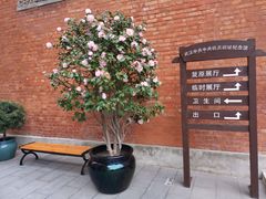 -飞马旅黎黄陂路文旅街区