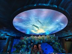 -陕西自然博物馆