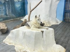 -南京海底世界