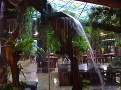 -绿光森林餐厅