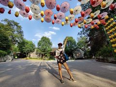 -枫香湖儿童公园