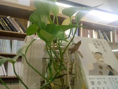 -晓风书屋(大学路店)