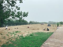 -东郊湿地公园