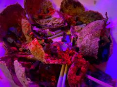 -音乐房子(鎏嘉码头店)