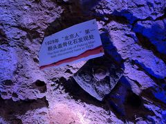 -周口店北京人遗址公园