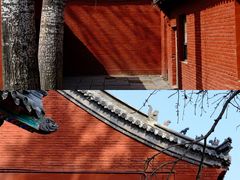 -洛阳白马寺