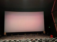 -奥斯卡升龙国际影城(RealD Cinema)