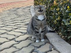 -辰熙ACX星海艺术中心