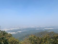 -紫金山山顶公园