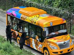 -大连森林动物园