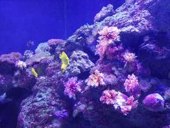 -成都浩海立方海洋公园