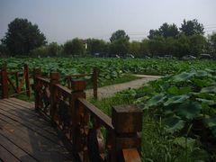 -三圣花乡旅游区