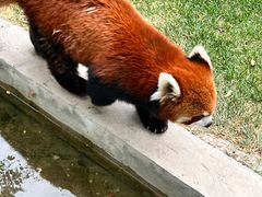 -水上乐园·欢乐世界