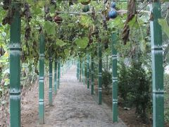 -东方巨龟苑景区