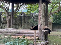 -上海野生动物园