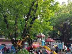 -晓港公园