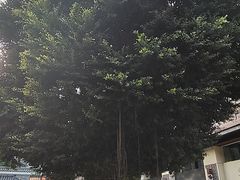 -包工仔·牛杂自助放题
