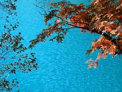 -叠溪松坪沟景区