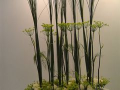 -FEI FEI FLOWER鲜花店·气球派对·宝宝宴布置(虹口德必运动Loft店)