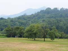 -福建鲤鱼洲酒店