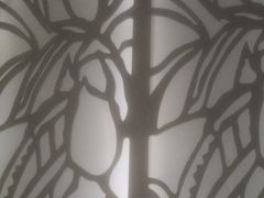 -骑士KTV(红谷滩万达店)