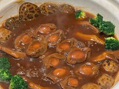 -新雅粤菜馆(南京东路店)