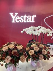 -Yestar艺星医疗美容医院