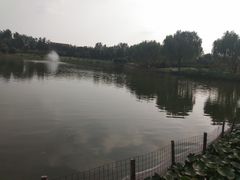 -燕郊植物园