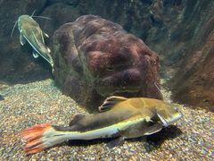 -太平洋海底世界