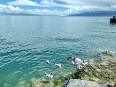 -青海湖二郎剑景区