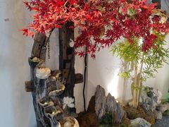 -湘厨壹品(芙蓉广场店)