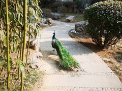 -舜耕山庄四时万和自助餐厅