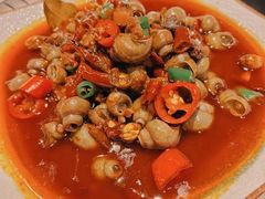 麻辣田螺-虎虎龙虾大排档(双井店)
