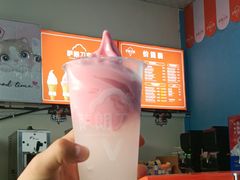 -萨朗刀克冰淇淋雪花凉(植物园店)